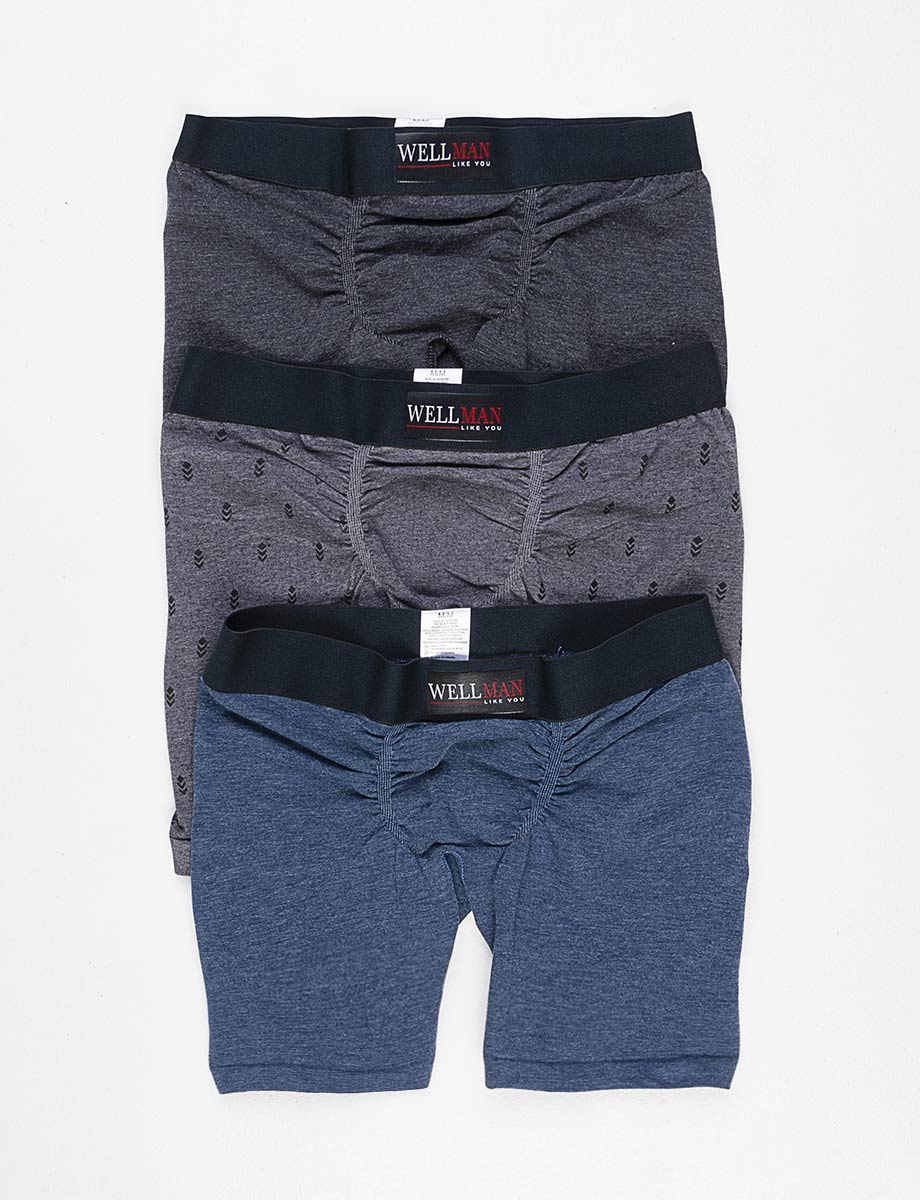 Boxer Wellman pack x3