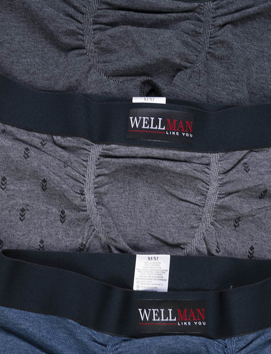 Boxer Wellman pack x3