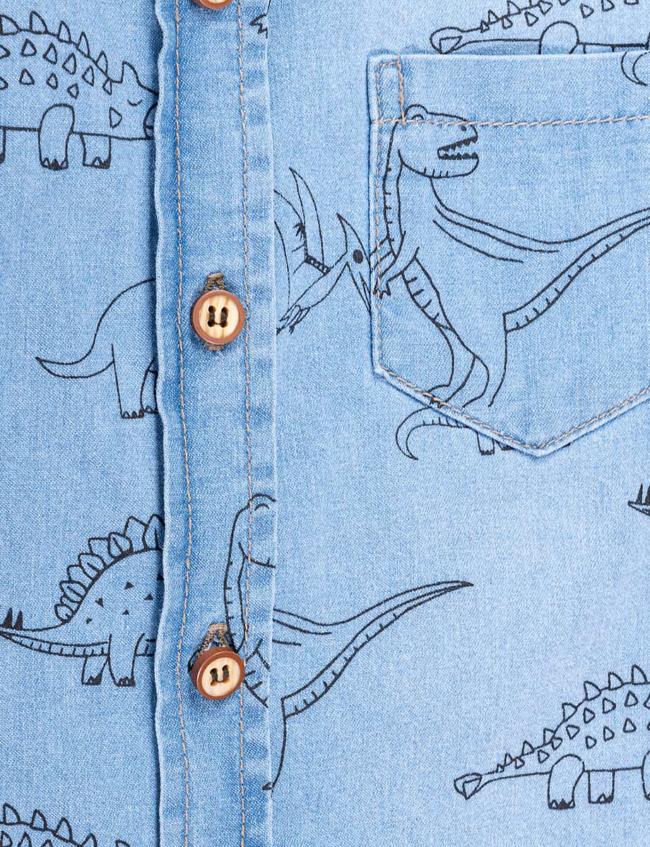 Camisa Dinosaurio manga larga