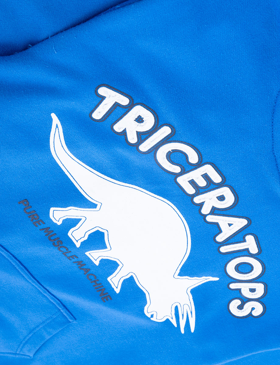 Chompa Triceratops azul con capucha