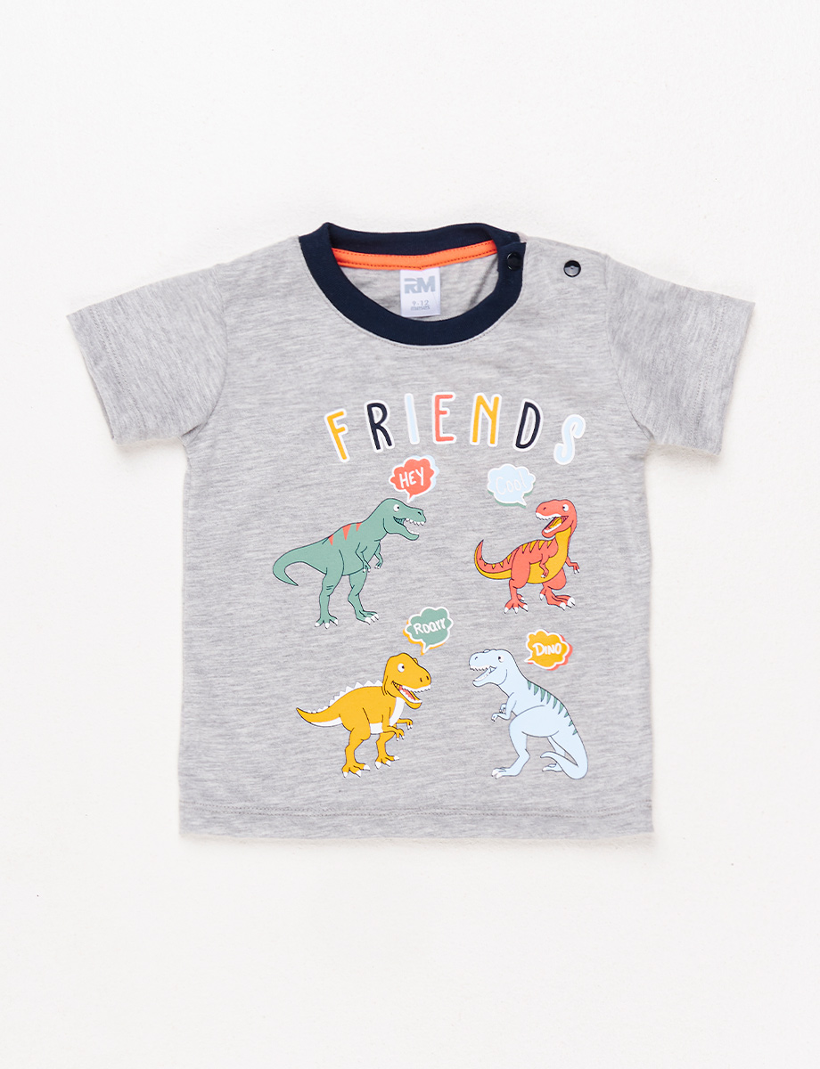 Camiseta Friends Gris