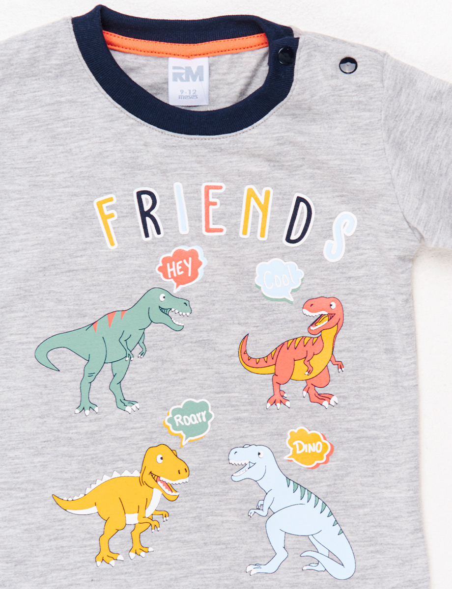 Camiseta Friends Gris