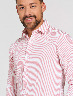 Camisa a Rayas Blanco/Rosado
