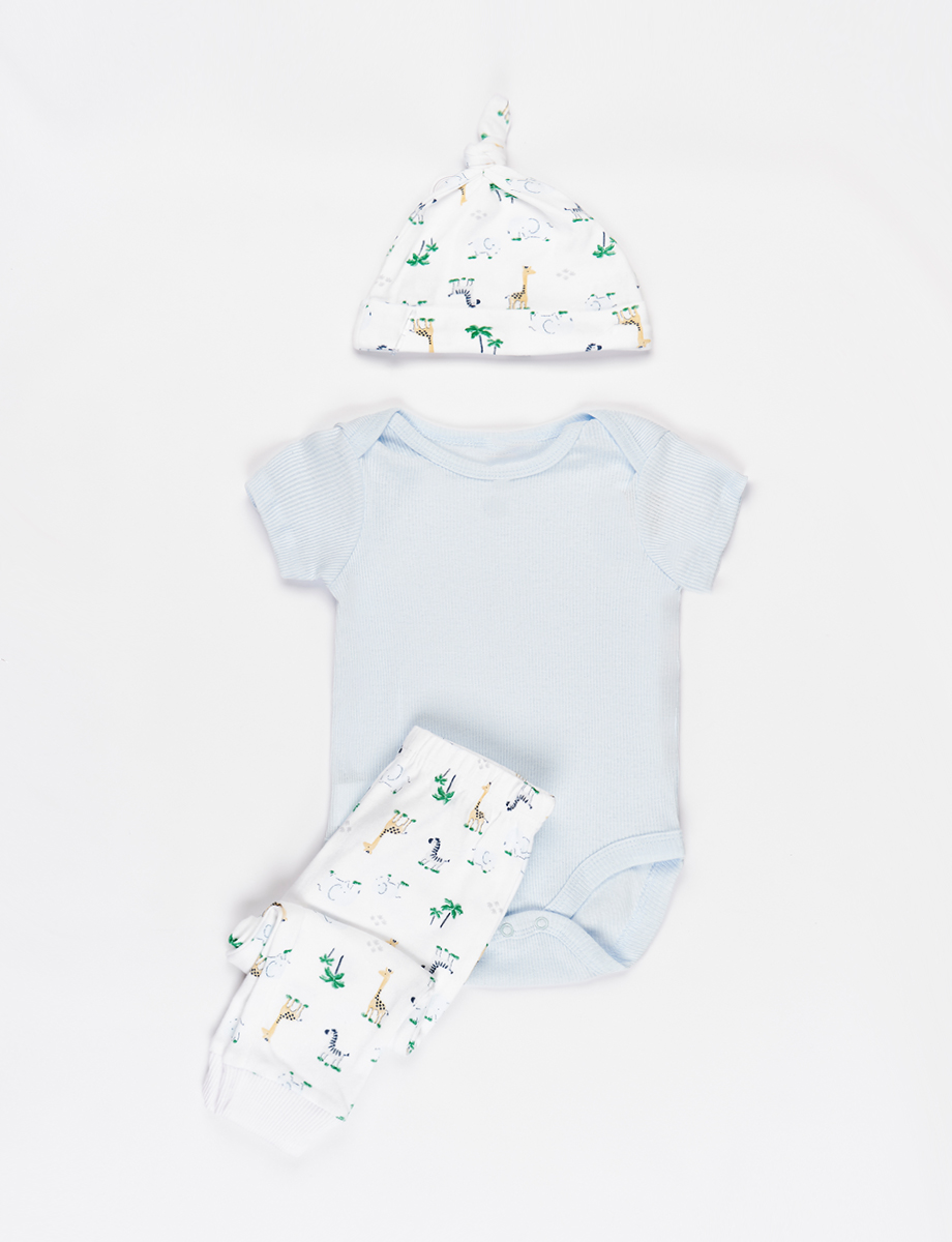 Set x3 Piezas Dinosaurio con Gorro