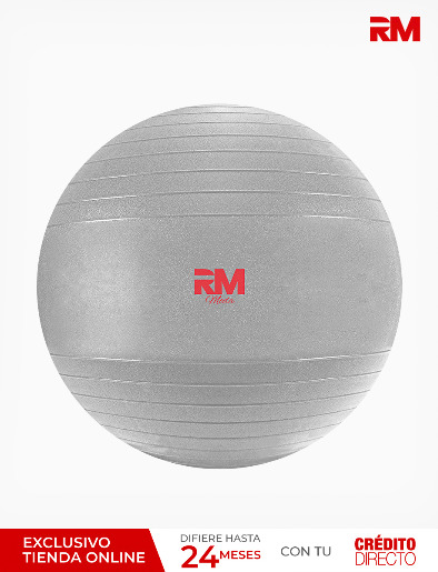 <em class="search-results-highlight">Balón</em> de Ejercicio 65cm Gris