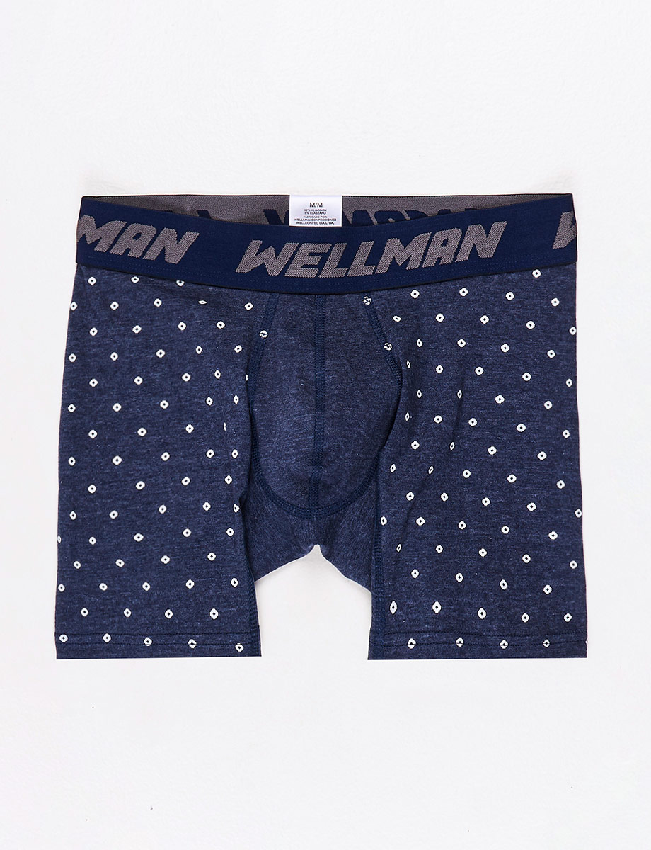 Boxer Wellman Prints Azul