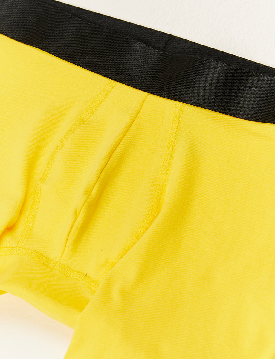 Boxer Amarillo con Negro