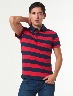 Camiseta Polo a Rayas Azul/Rojo