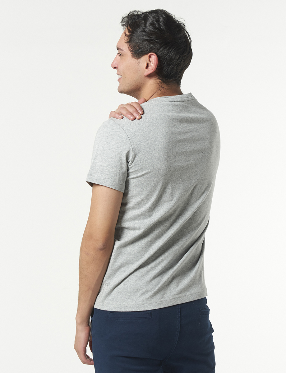 Camiseta Step Up Gris