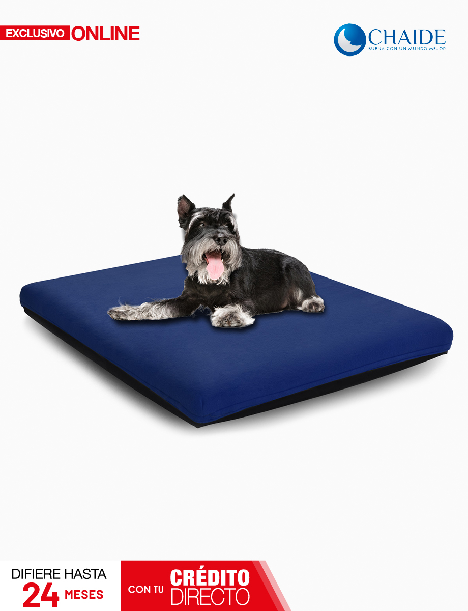 Colchón para Mascotas Convoluted Grande Azul | Chaide