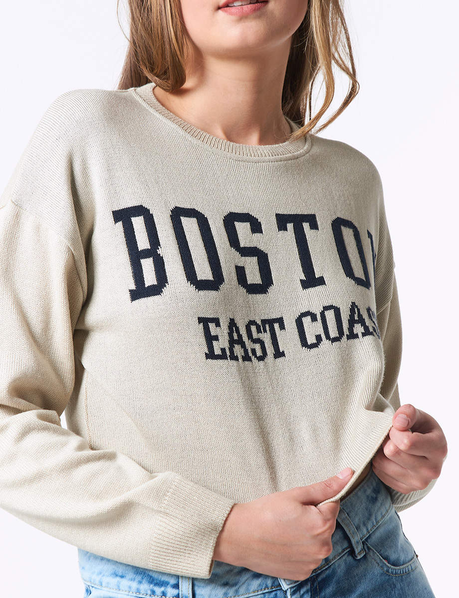 Sweater Boston Arena