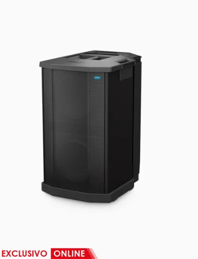 Caja F1 SubWoofer Sistema Líneal Array | Bose