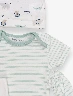 Set x6 Piezas Safari Verde