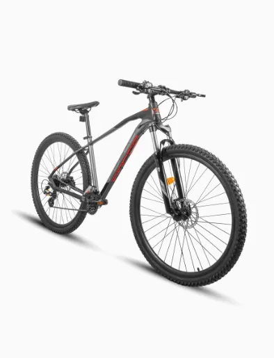 Bicicleta Maverick 1.0 Aro 29" Negro | Force