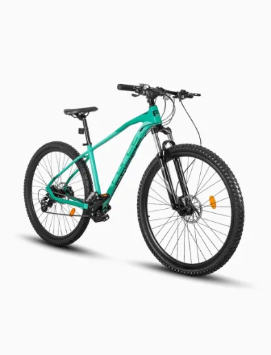 Bicicleta Maverick 1.0 Aro 29" Verde | Force