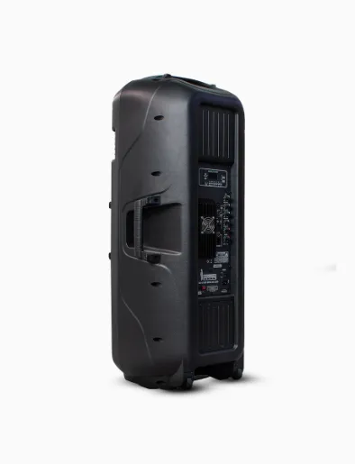 <em class="search-results-highlight">Caja Amplificada</em> Doble 2" × 15" 200.000W | England Sound
