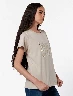 Camiseta Hojas Taupe Mujer – Inspiración natural con diseño actual
