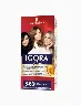 Tinte Igora Vital 6-68 Chocolate | Schwarzkopf