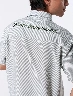 Camisa Rayas Verde Hombre – Estilo clásico con toque moderno