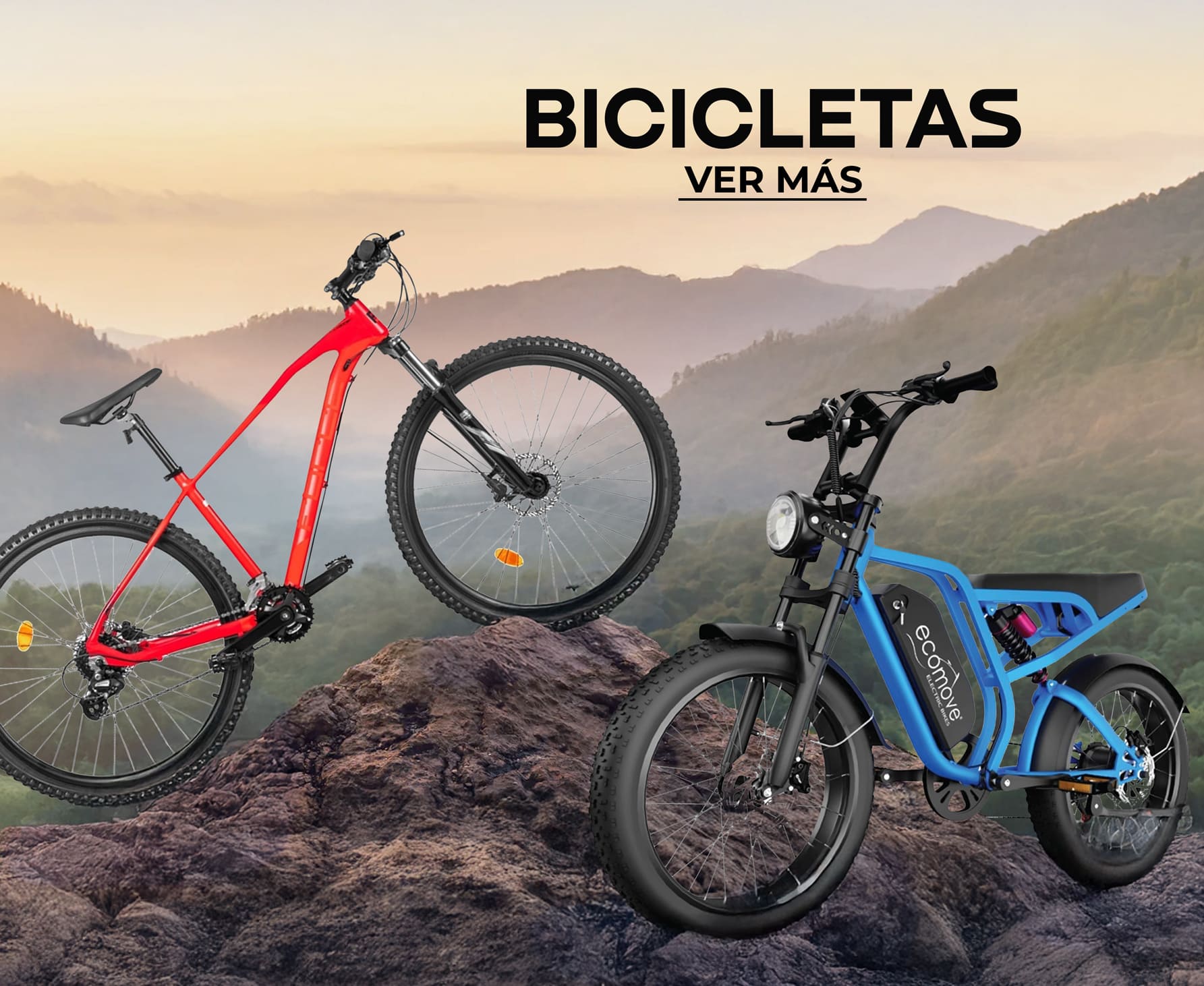 CAJONES-BICIS.jpg