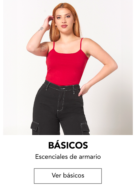 basicos.png